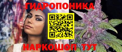 2c-b Боровичи