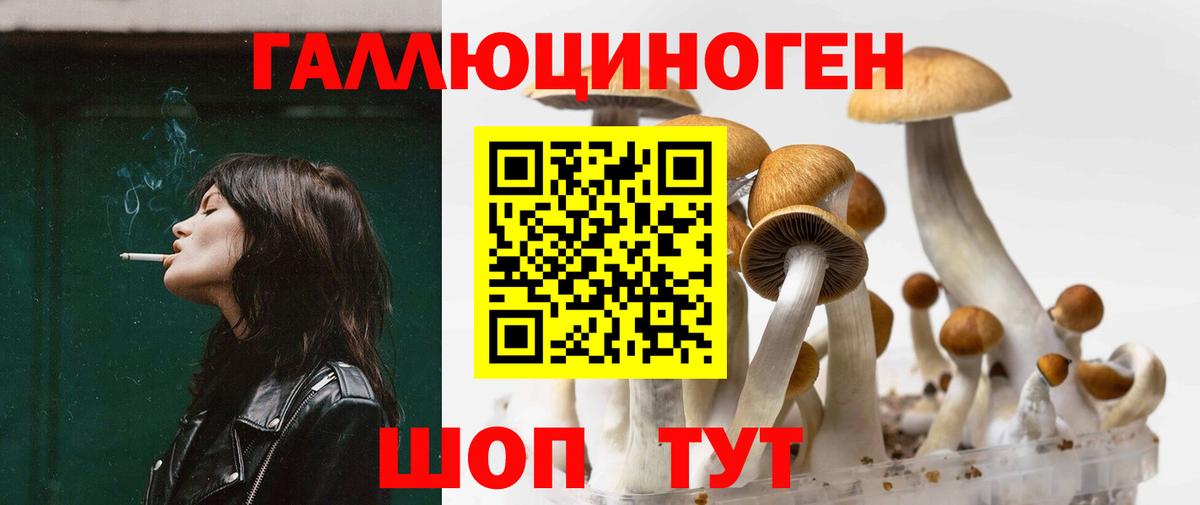 Галлюциногенные грибы Magic Shrooms Ефремов