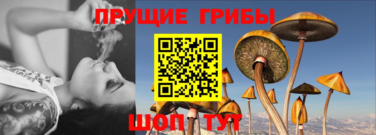 Ефремов  Галлюциногенные грибы прущие грибы  Псилоцибиновые грибы GOLDEN TEACHER  Вход с VPN 